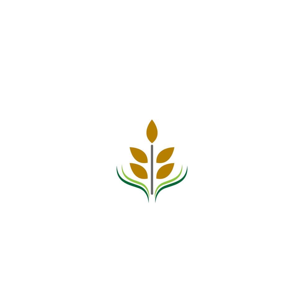 Rice logo icon concept vector