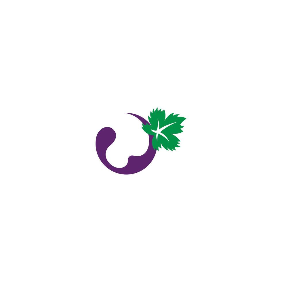 Grape with leaf vector