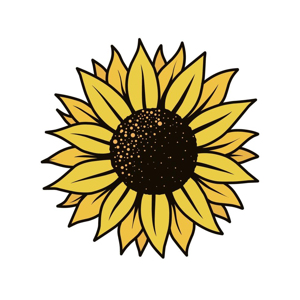 diseño de ilustración de girasol vector