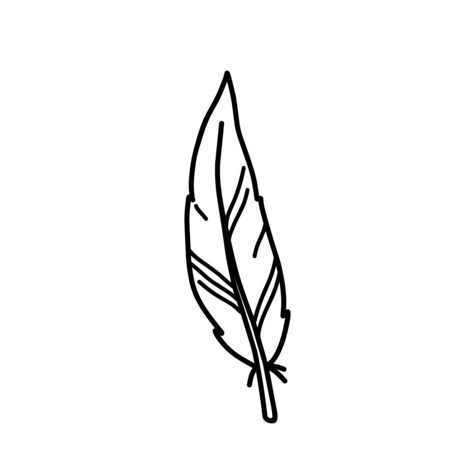 pluma de ave aislada sobre fondo blanco. ilustración vectorial dibujada a mano en estilo garabato. perfecto para tarjetas, decoraciones, logotipos, varios diseños. vector