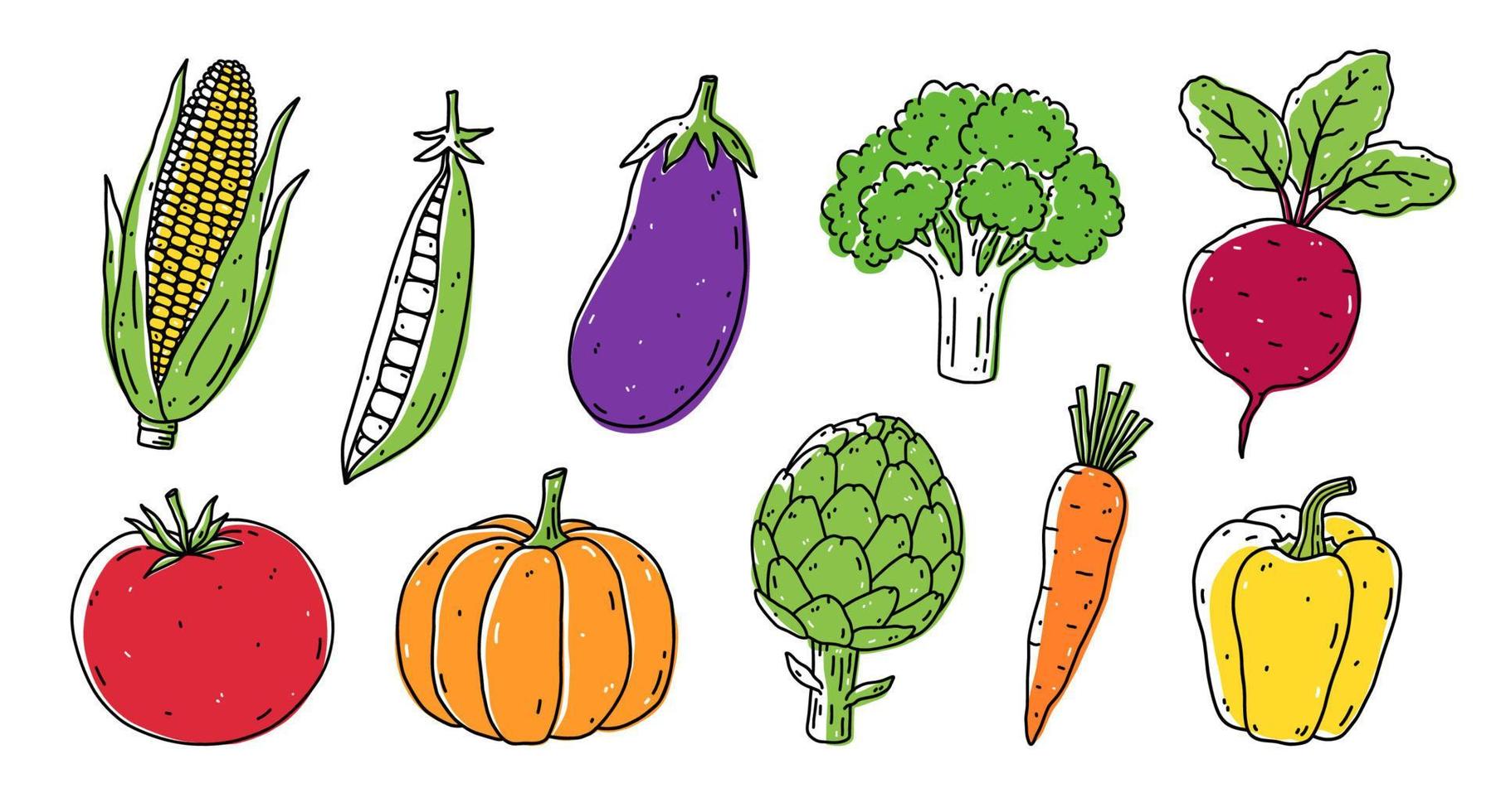 un conjunto de verduras: maíz, guisantes, berenjena, brócoli, remolacha, tomate, calabaza, alcachofa, zanahoria y pimiento. alimentos orgánicos saludables. ilustración vectorial dibujada a mano en estilo garabato. vector