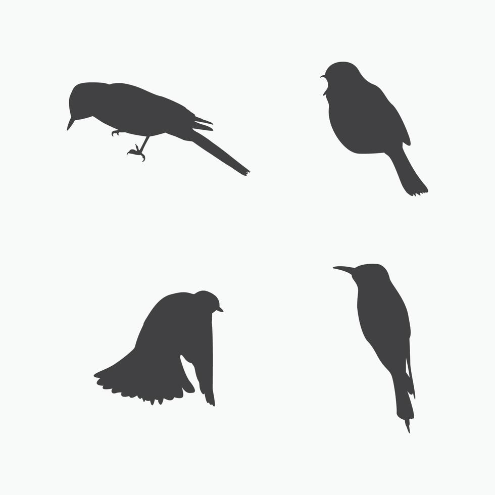 vector de silueta de pájaro sobre fondo blanco