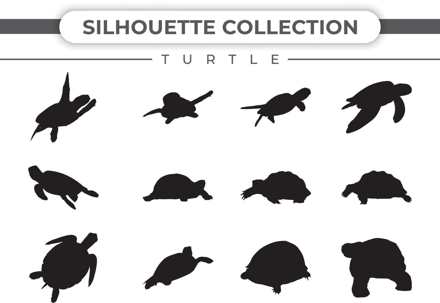 Turtle silhouette vector on white background, different shapes of turtle