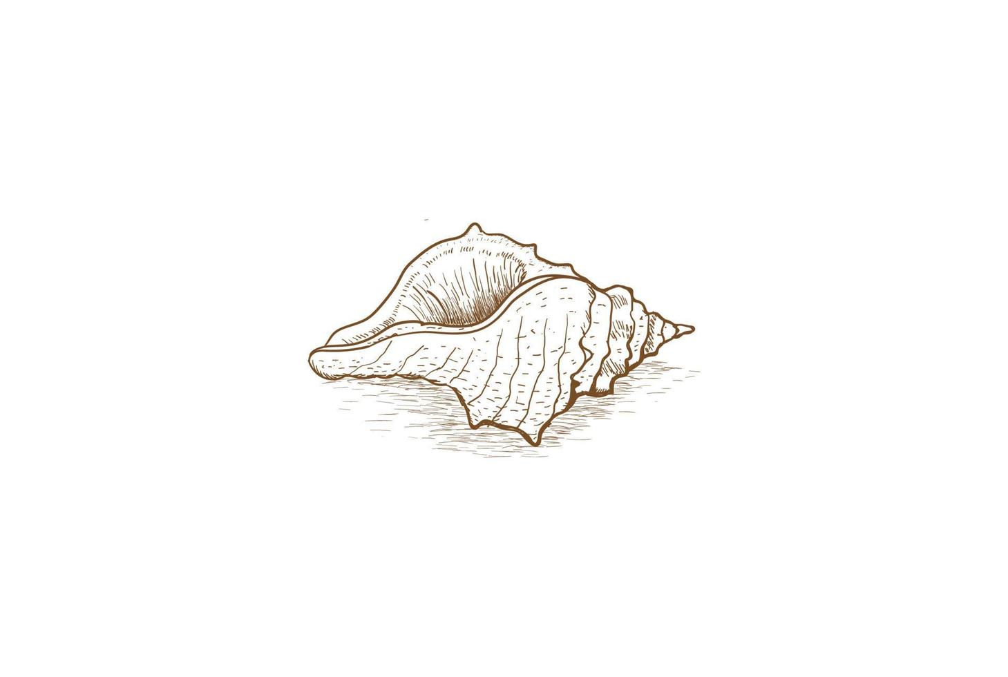 Retro Vintage Hand Draw Sketch Ocean Seashell Nautilus Logo Design Vector