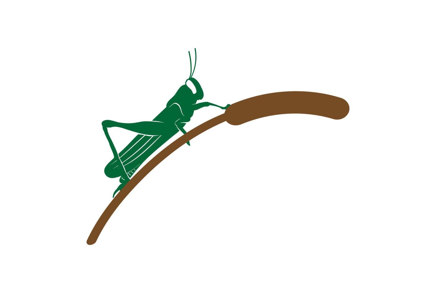 Vintage Insect Grasshopper with Cattail Reed Grass Logo Design Vector