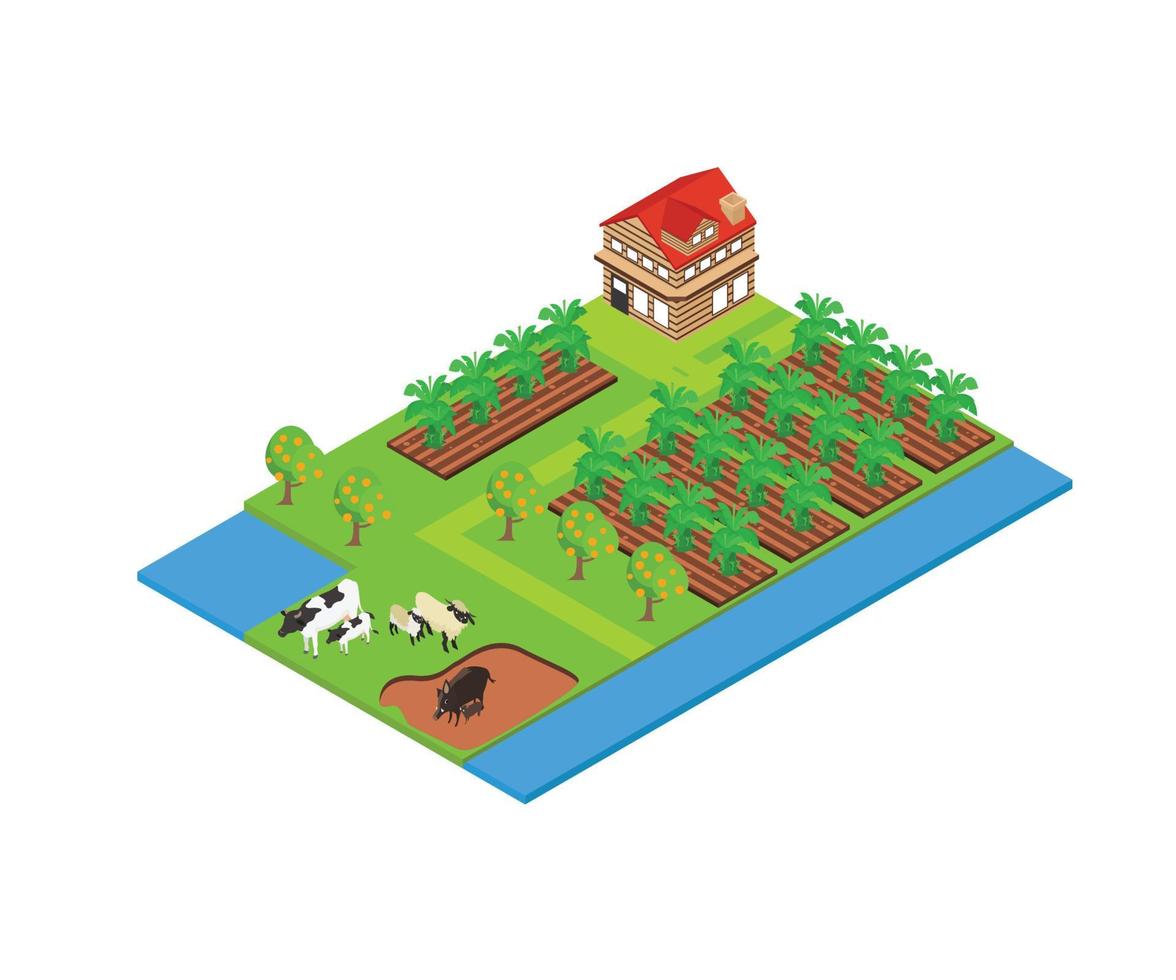 Illustration of a banana farming area in isometric style vector