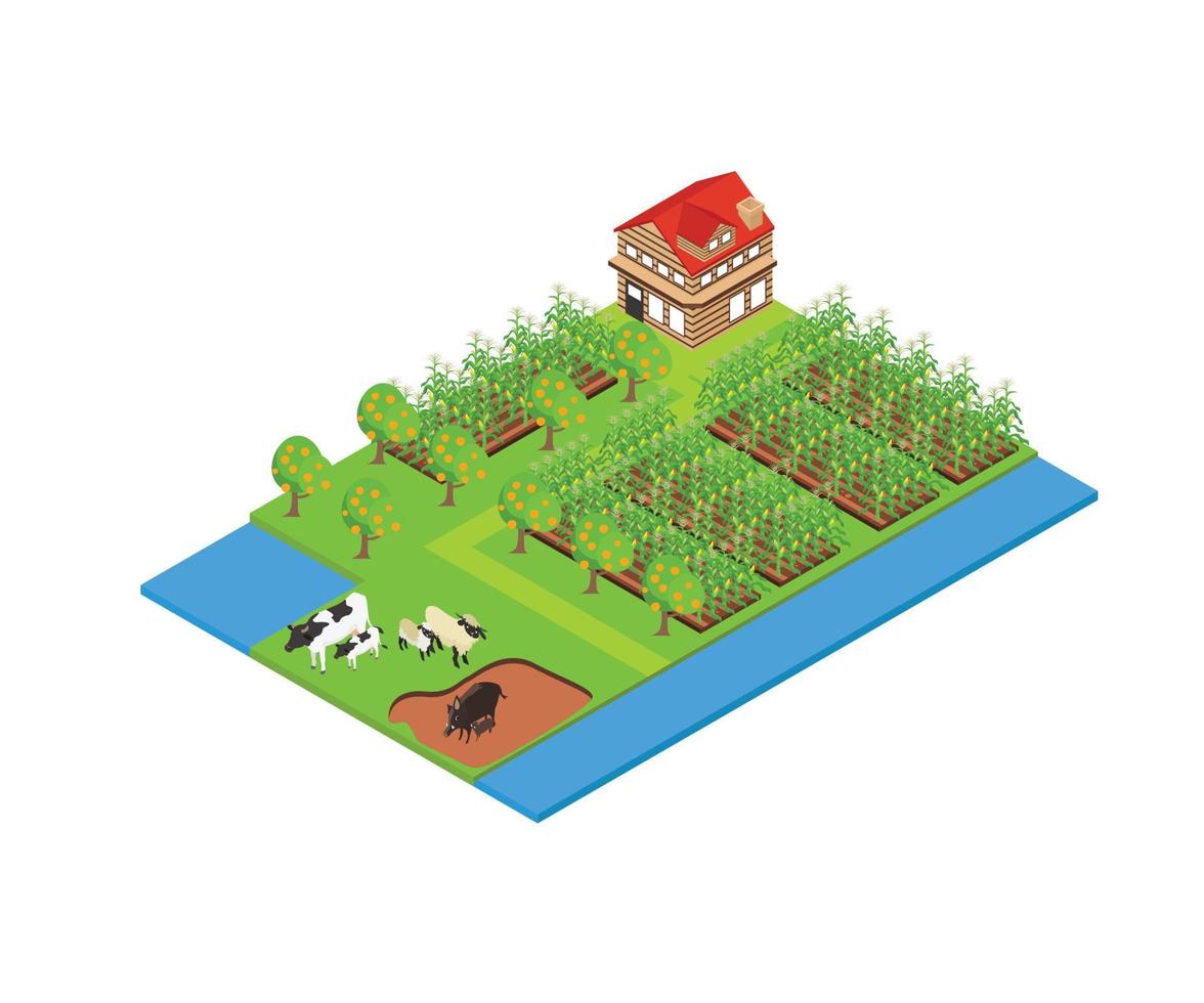 Illustration of corn farming area in isometric style vector