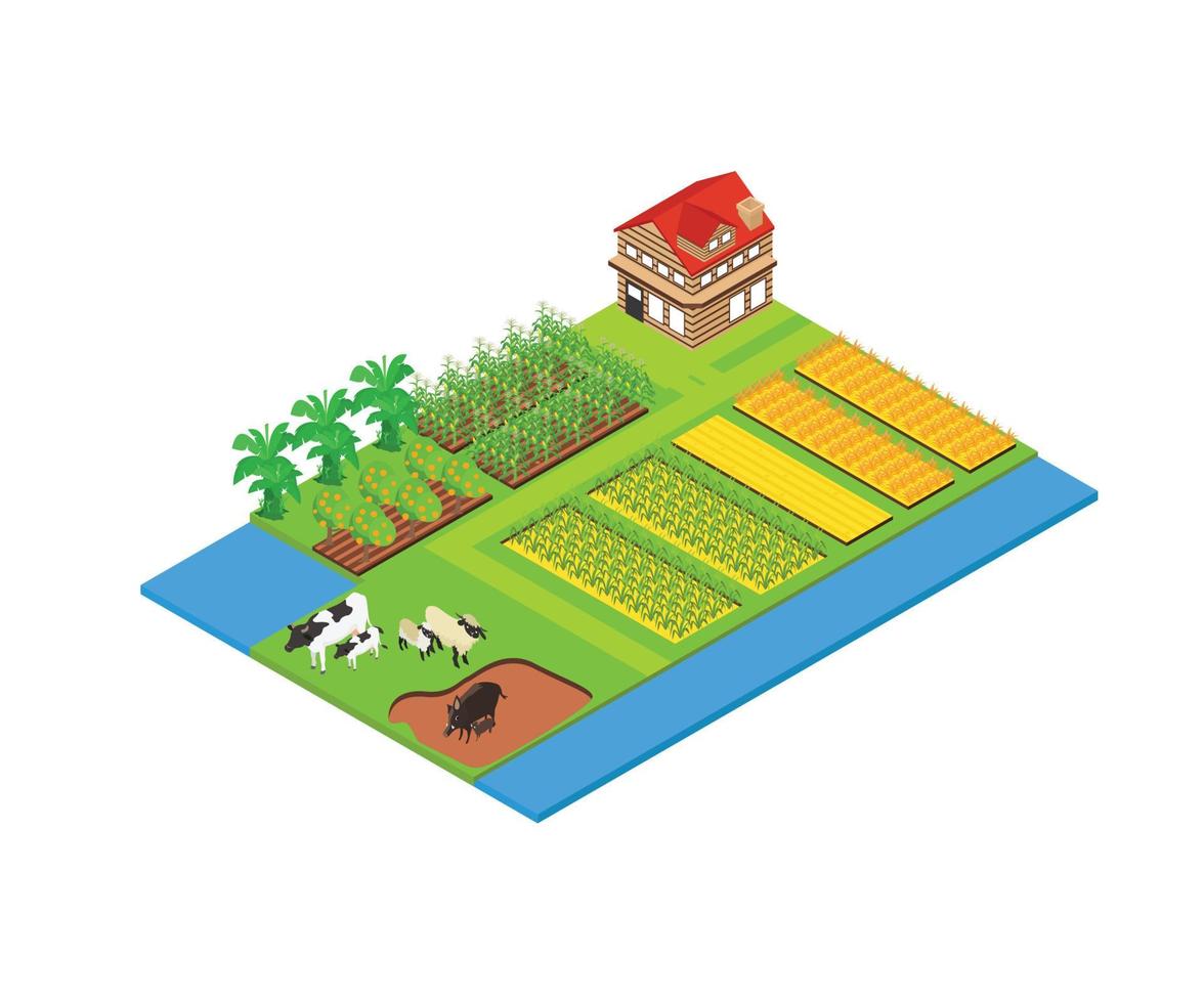 ilustración del mapa del área de agricultura y ganadería en estilo isométrico vector