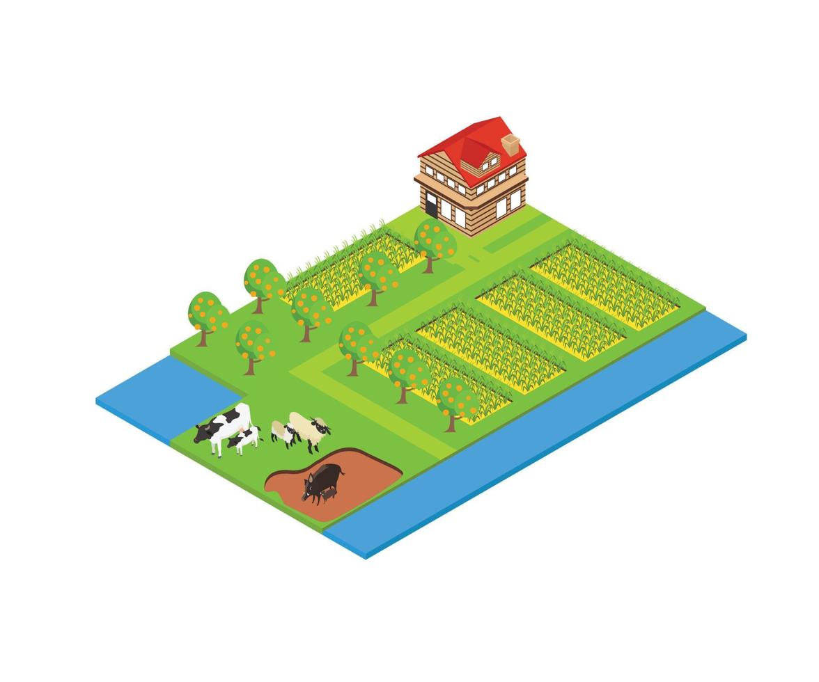 Illustration of rice fields map in isometric style vector