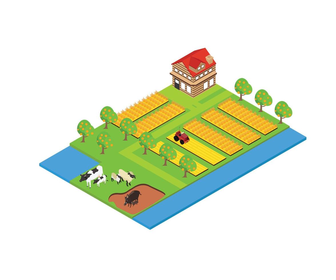 Wheat farming area map in isometric style vector