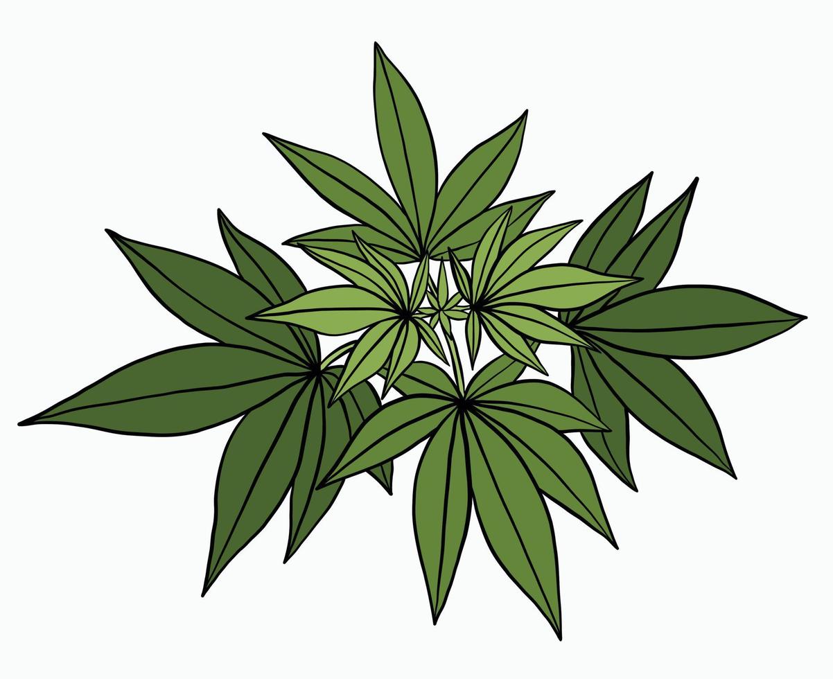 simplicidad planta de cannabis dibujo a mano alzada diseño plano. vector