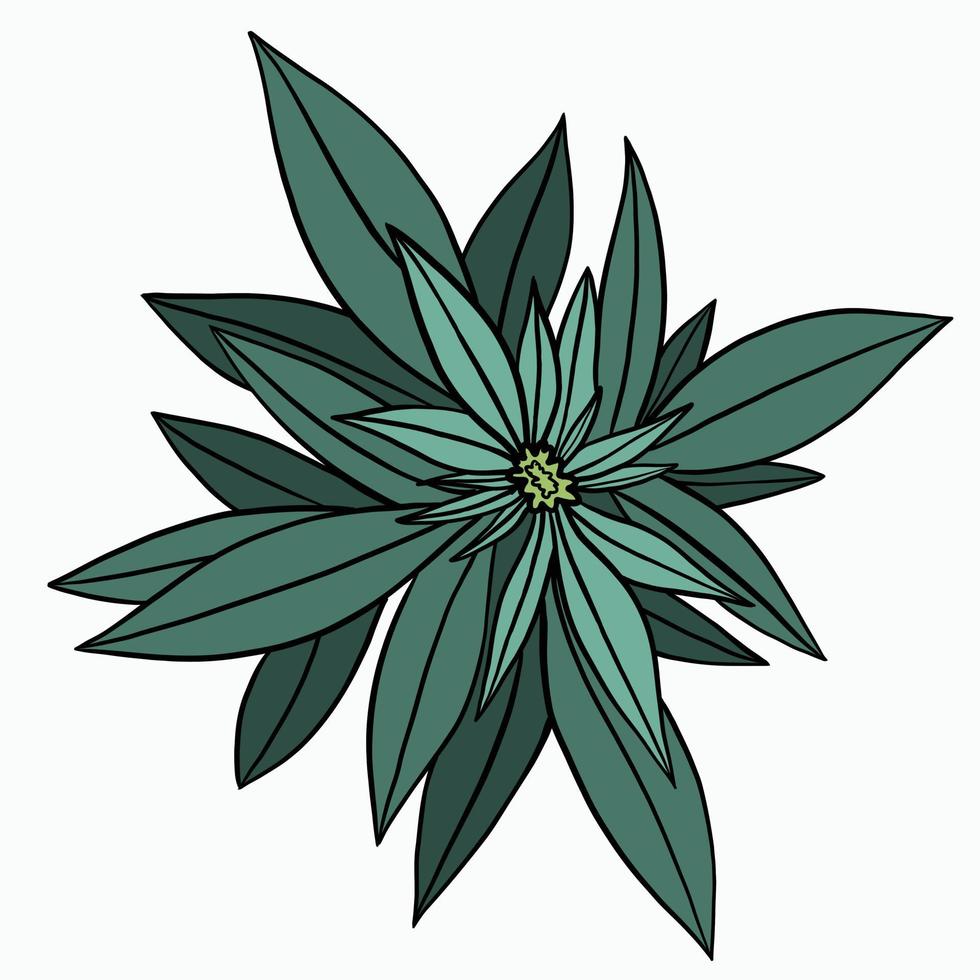 simplicidad planta de cannabis dibujo a mano alzada diseño plano. vector