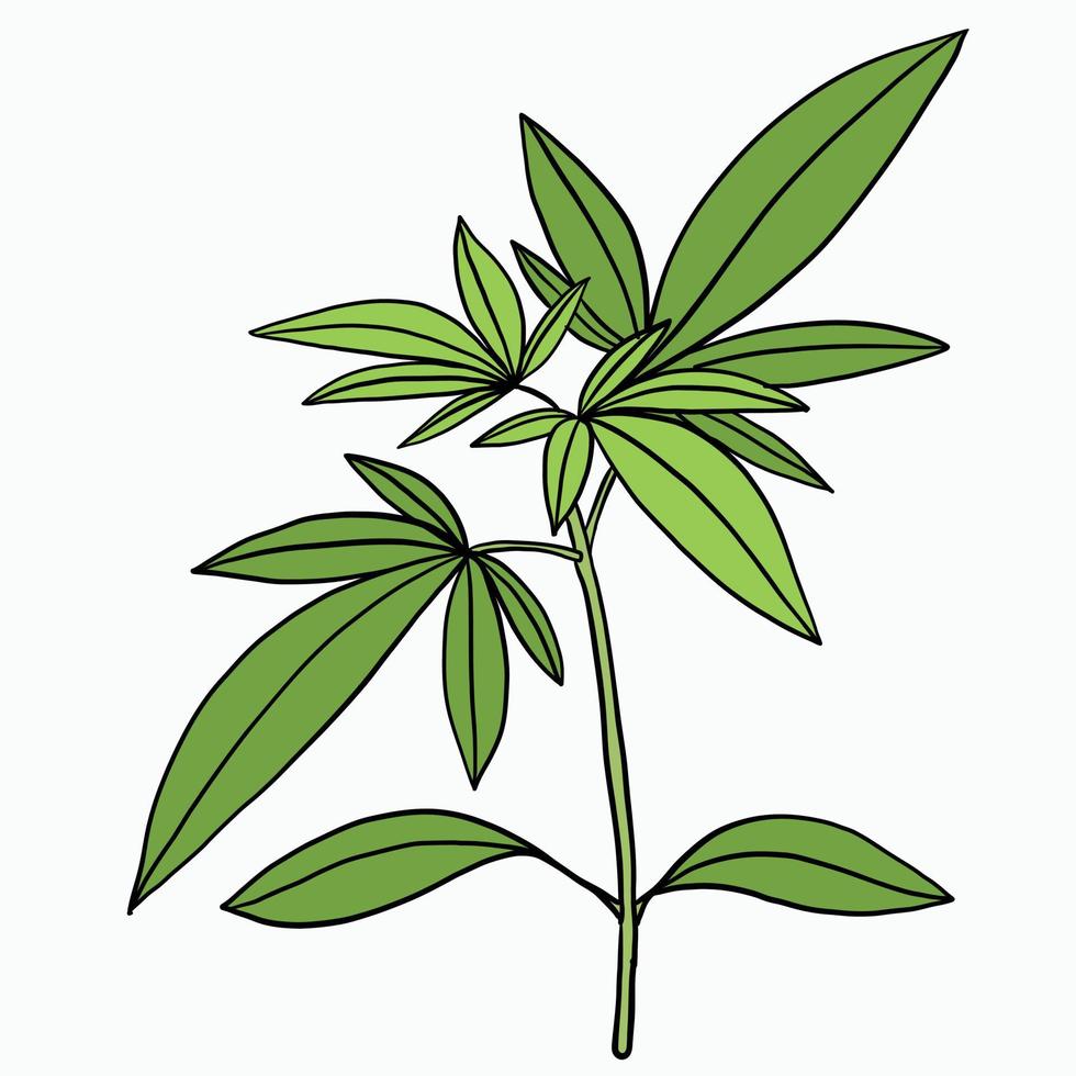 simplicidad planta de cannabis dibujo a mano alzada diseño plano. vector