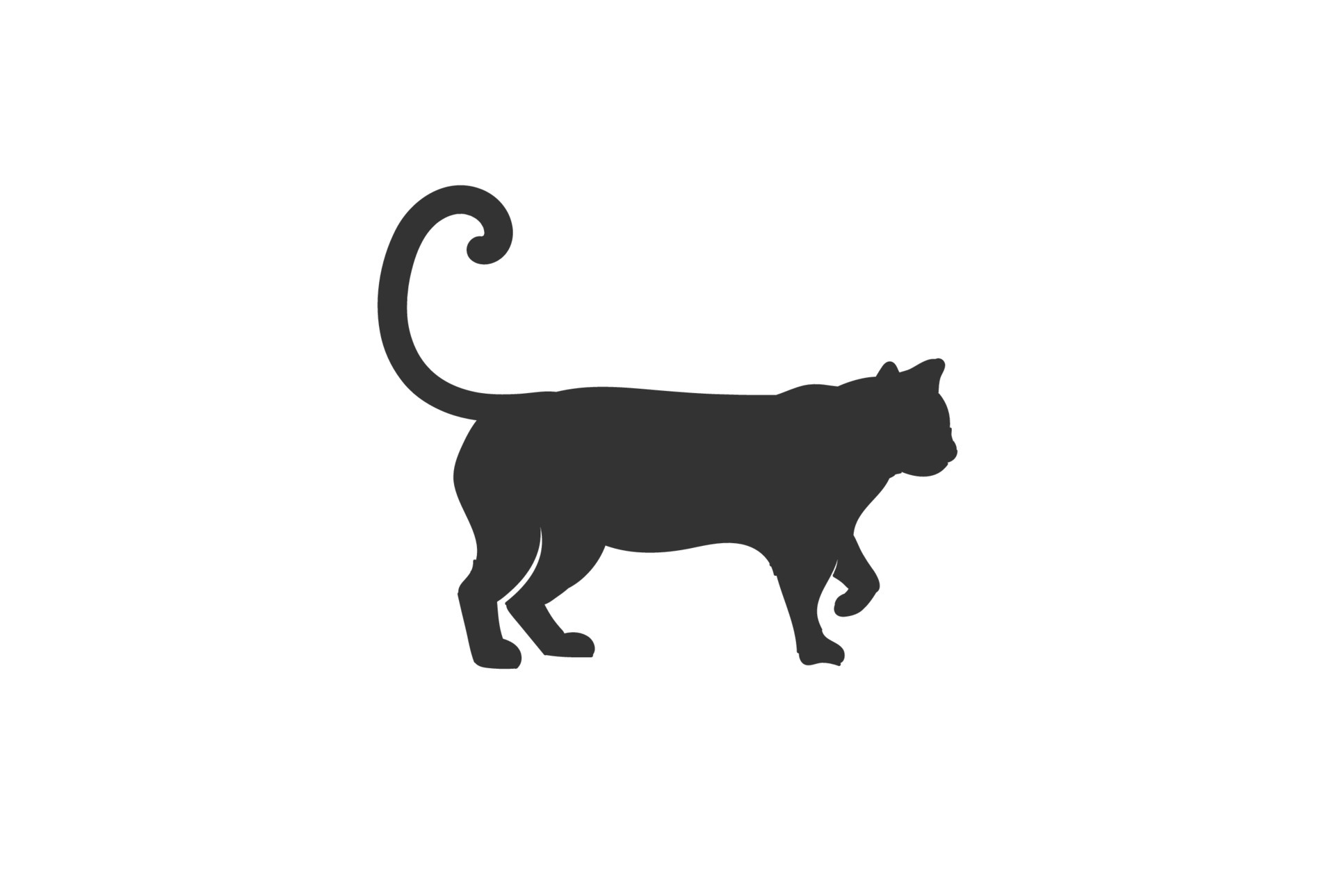 Cat Silhouette with Letter C for Cat Text Type Font Word Typography