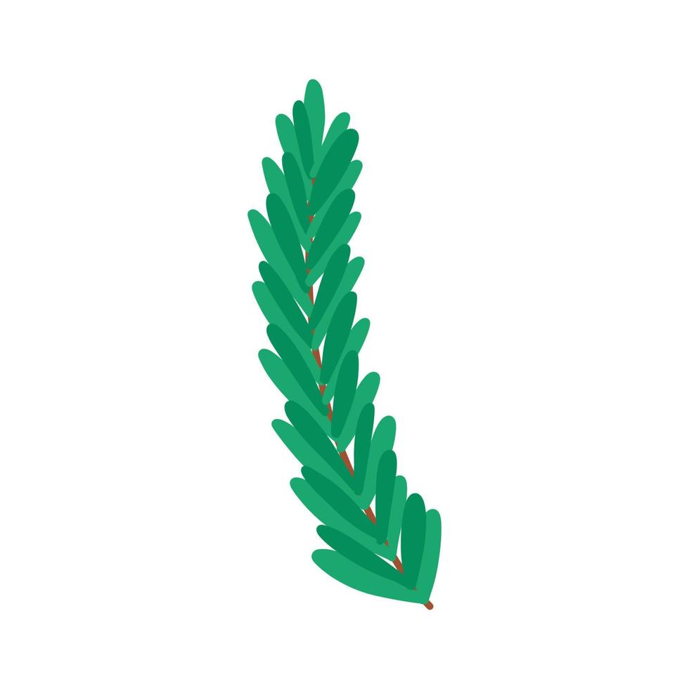 planta dibujada a mano con hojas, ilustración vectorial plana aislada en diseño blanco. lindo elemento botánico para un diseño elegante. vector