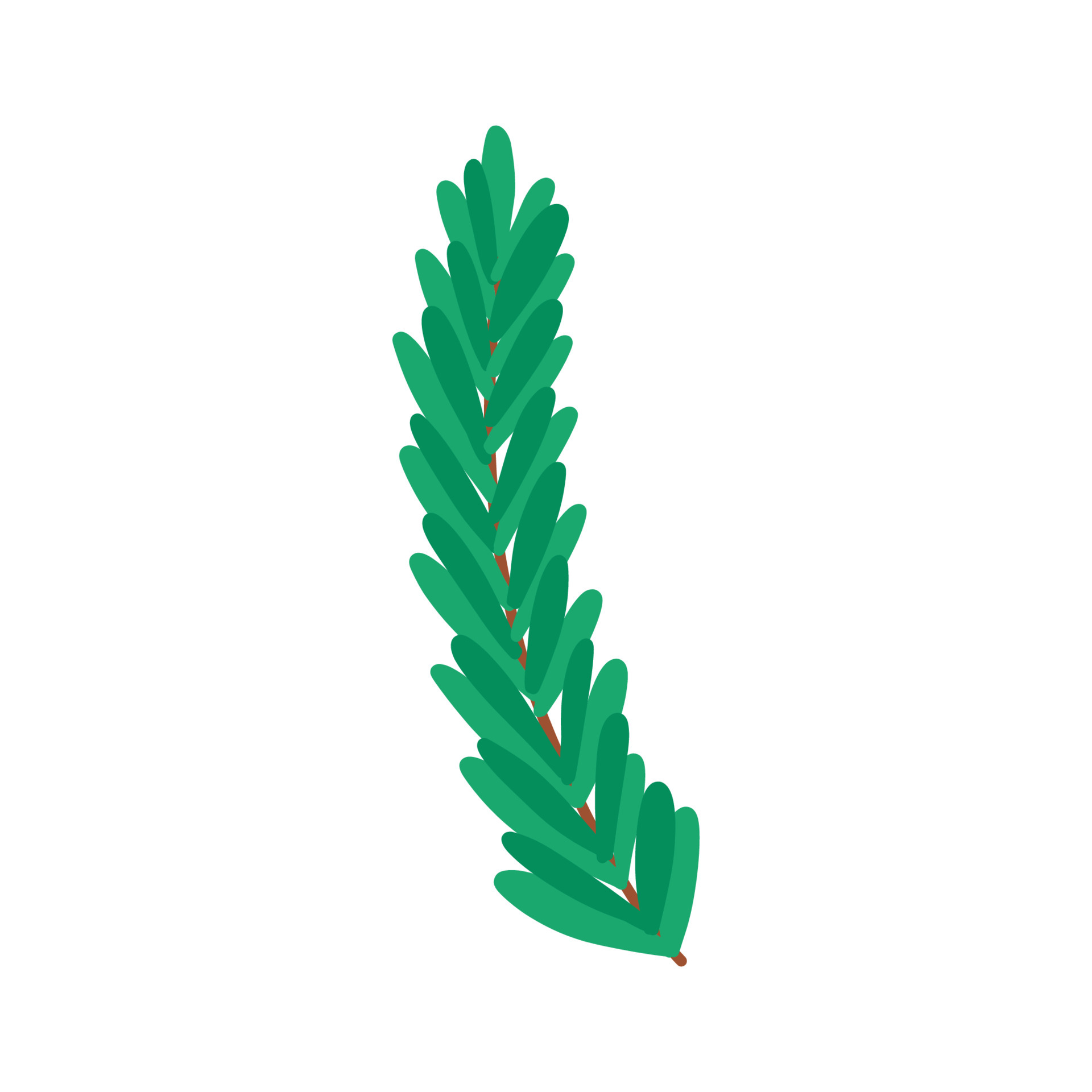 Hand drawn plant with leaves, flat vector illustration isolated on