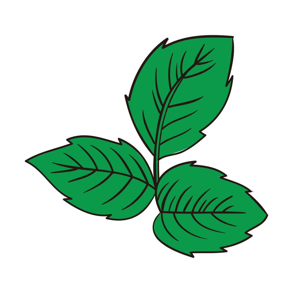 three leaves nature icon vector