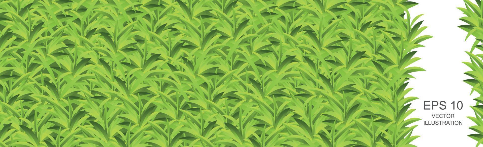 Realistic light green grass meadow panoramic background pattern texture - Vector