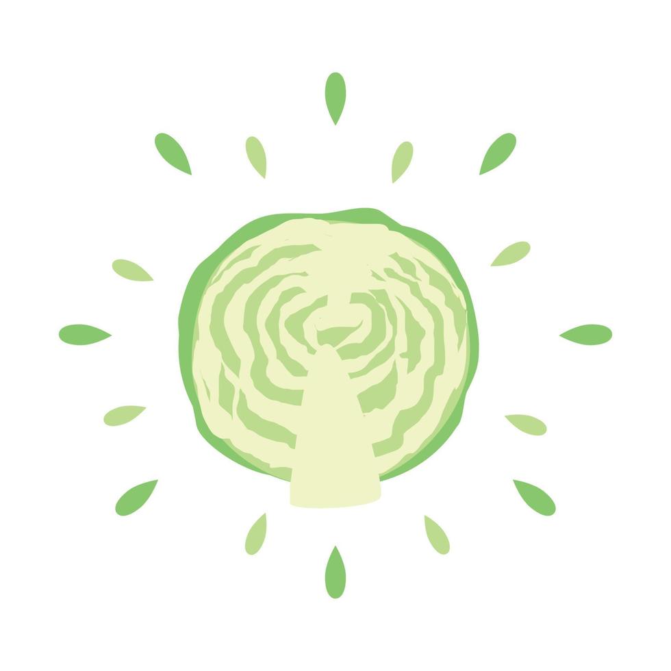 Abstract juicy cabbage icon with splash on white background - Vector