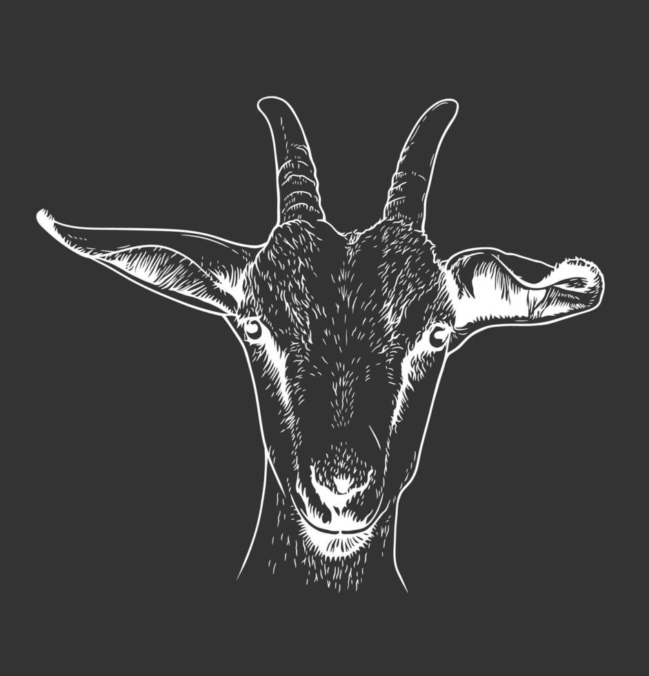 Goat head portrait vector line art illustration on black background