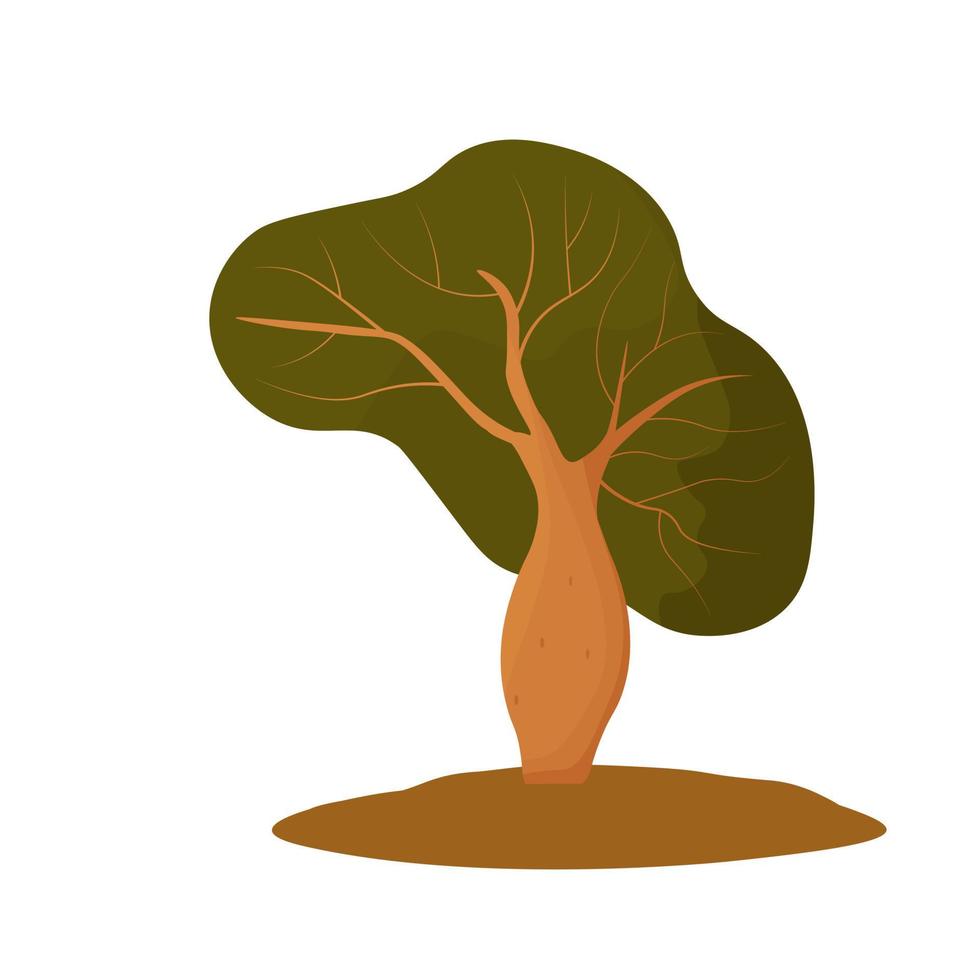 Baobab vector stock illustration. Boab.