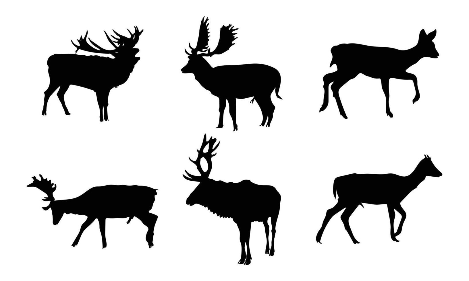 Collection of Graphic black silhouettes of wild deers  male, female and roe deer. vector