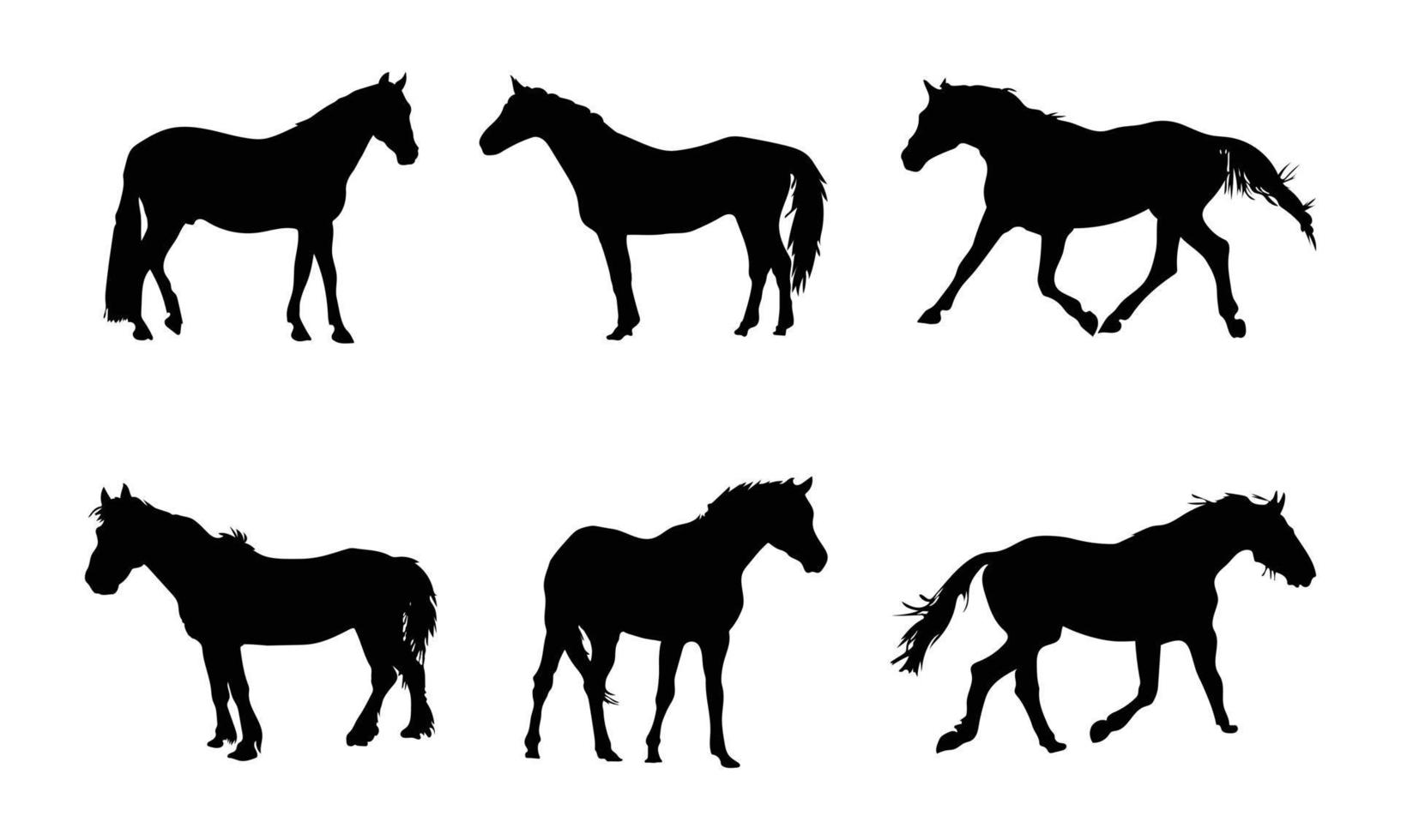 colección de siluetas de caballos en fondo blanco vector