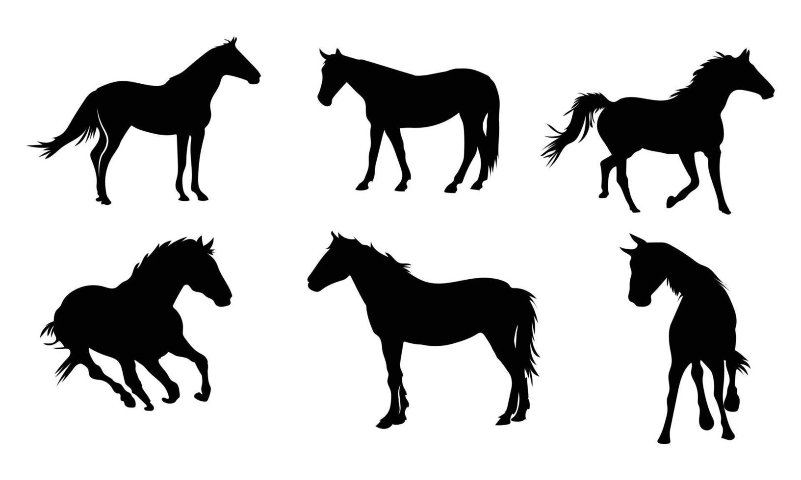 Collection of horses silhouettes set  on white background vector