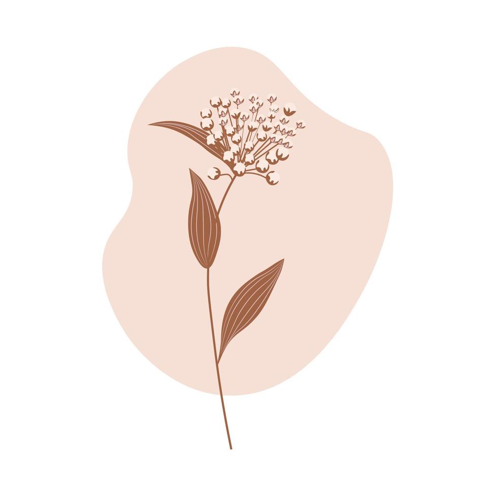 Ilustración de stock de vector de flor silvestre. planta de pradera de primavera. Aislado en un fondo blanco.