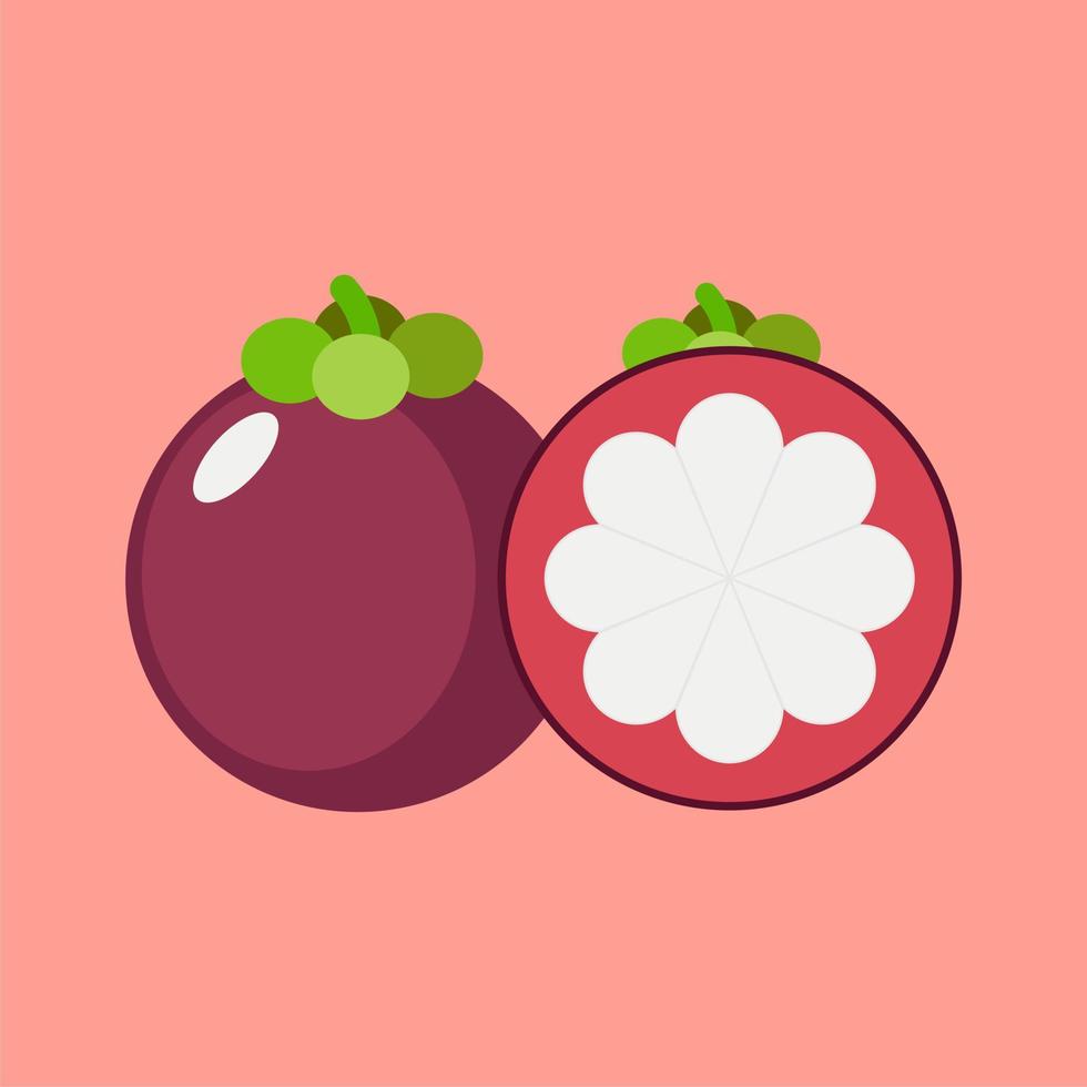 Mangosteen and slices of mangosteen. tropical Fruits Flat vector illustration icon.