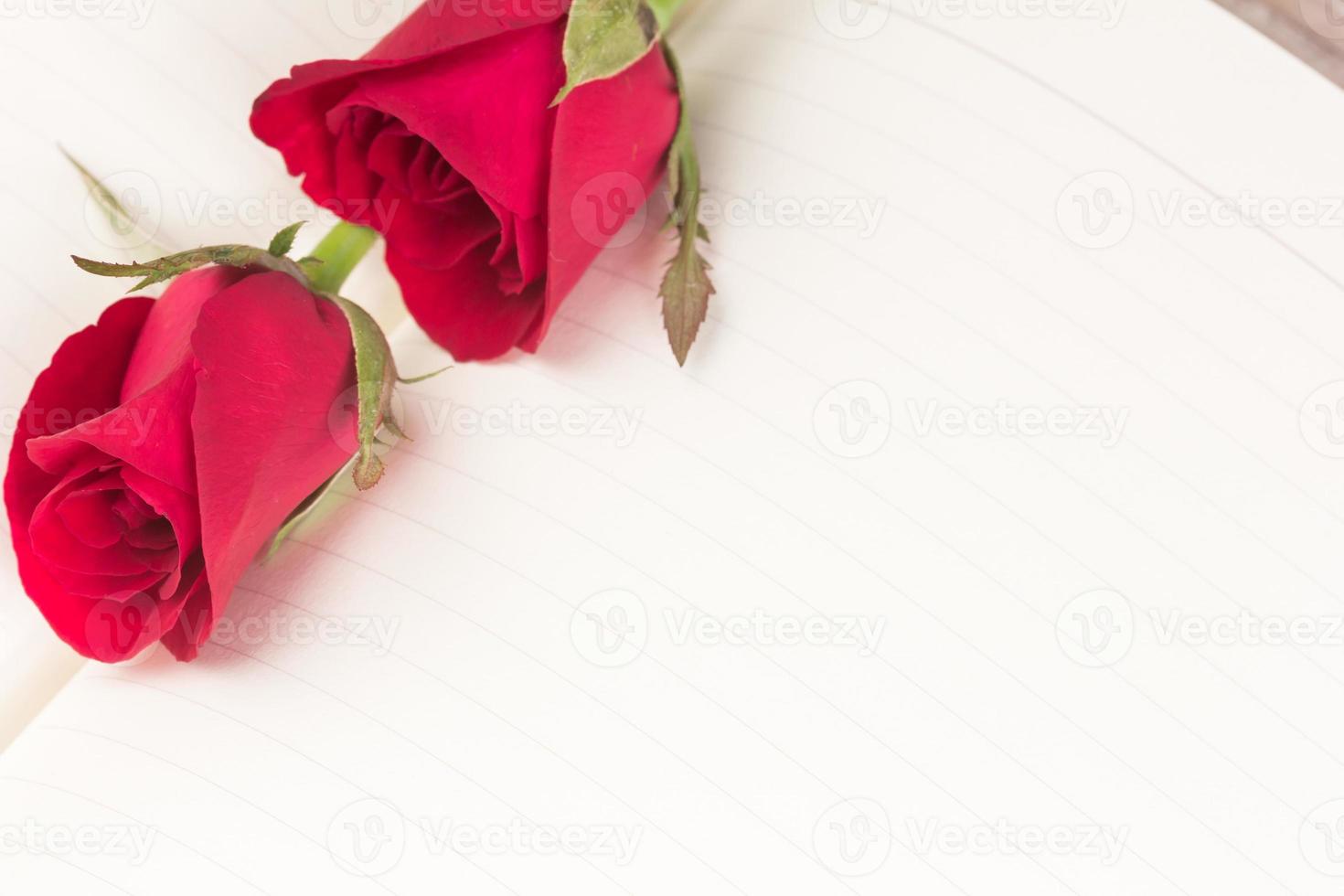 Red rose on notebook background photo