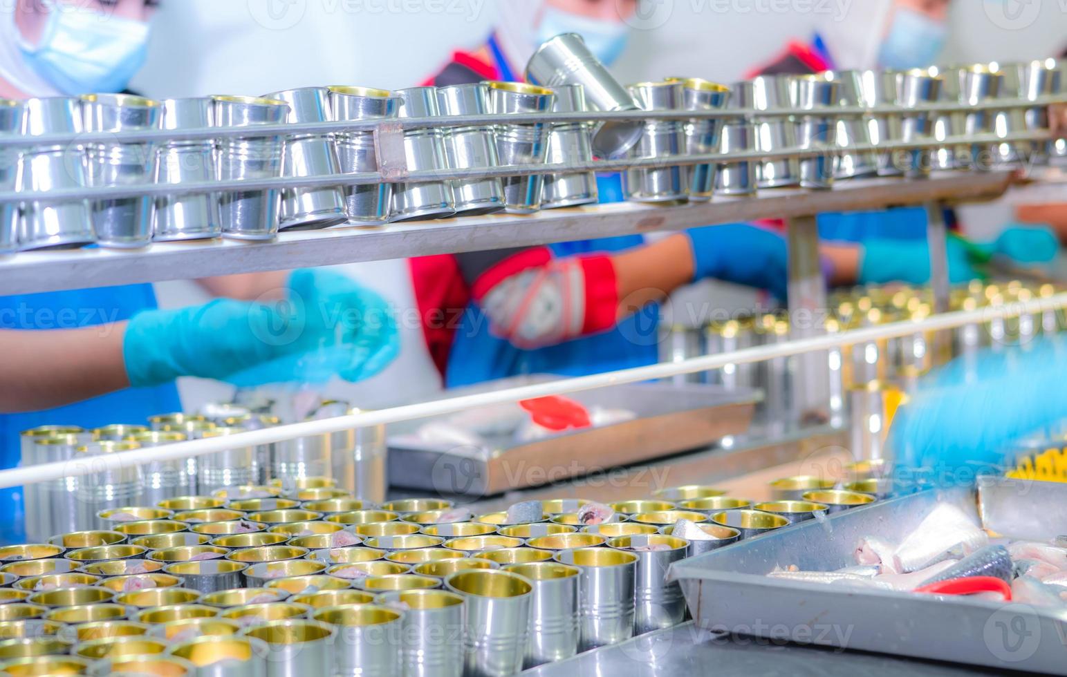 Canned fish factory. Food industry. Workers working in canned food factories to fill sardines in tinned cans. Food processing production line. Food manufacturing industry. Many can on a conveyor belt. photo