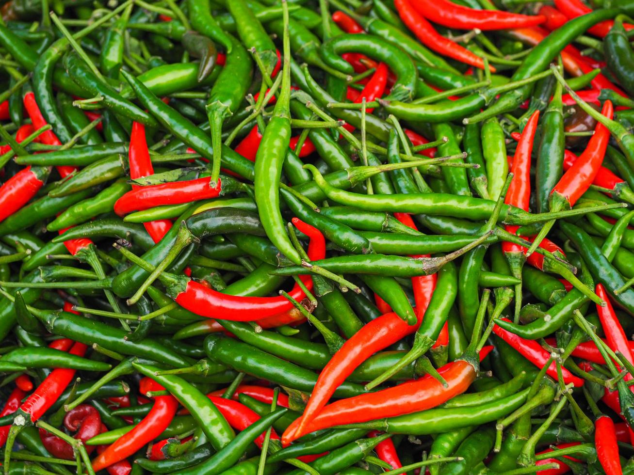Full frame photo of fresh chilies colorful for sale in fresh market