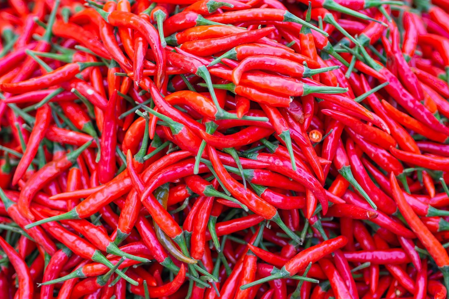 Full frame photo of red chilies pepper for sale in market