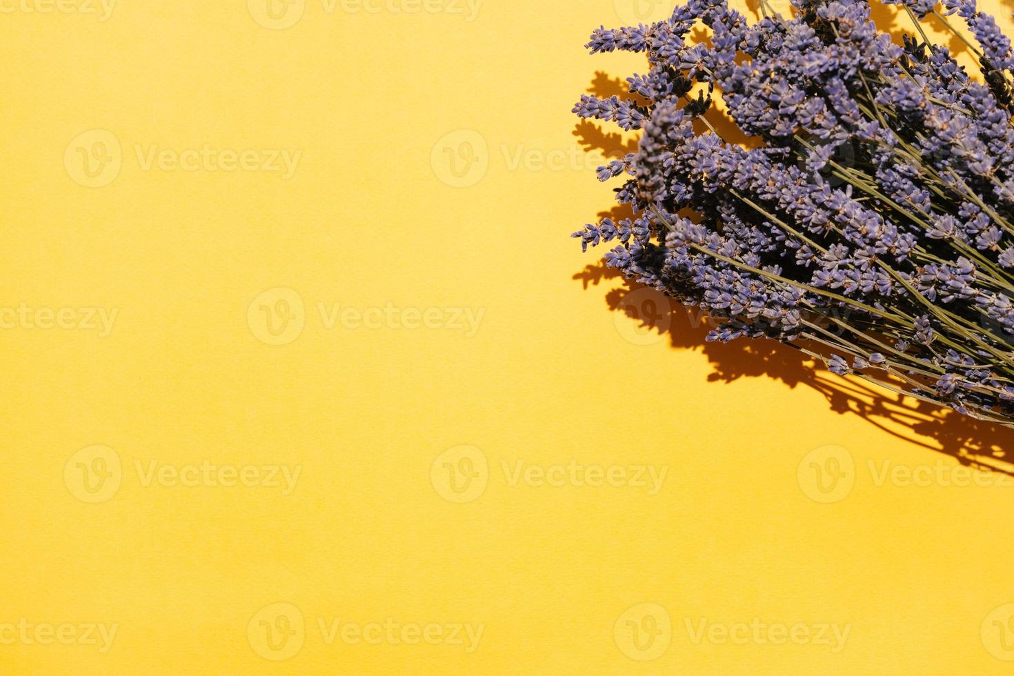 Dry Lavender bundle on yellow background photo