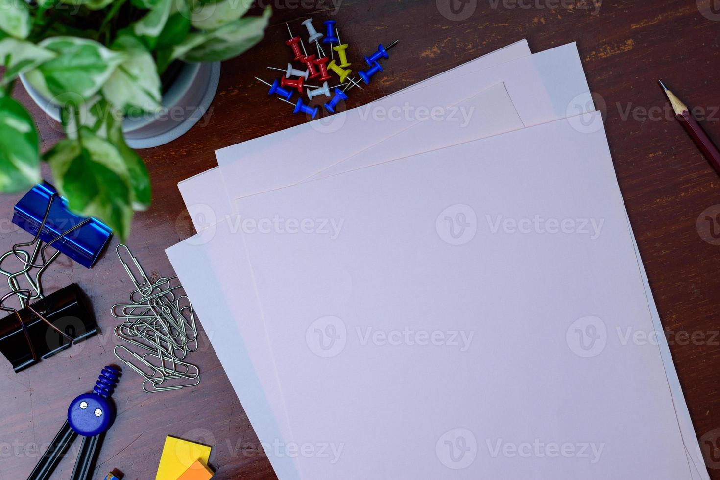 File, pencil and office supplies. Placed beside a tree on a wooden table. photo