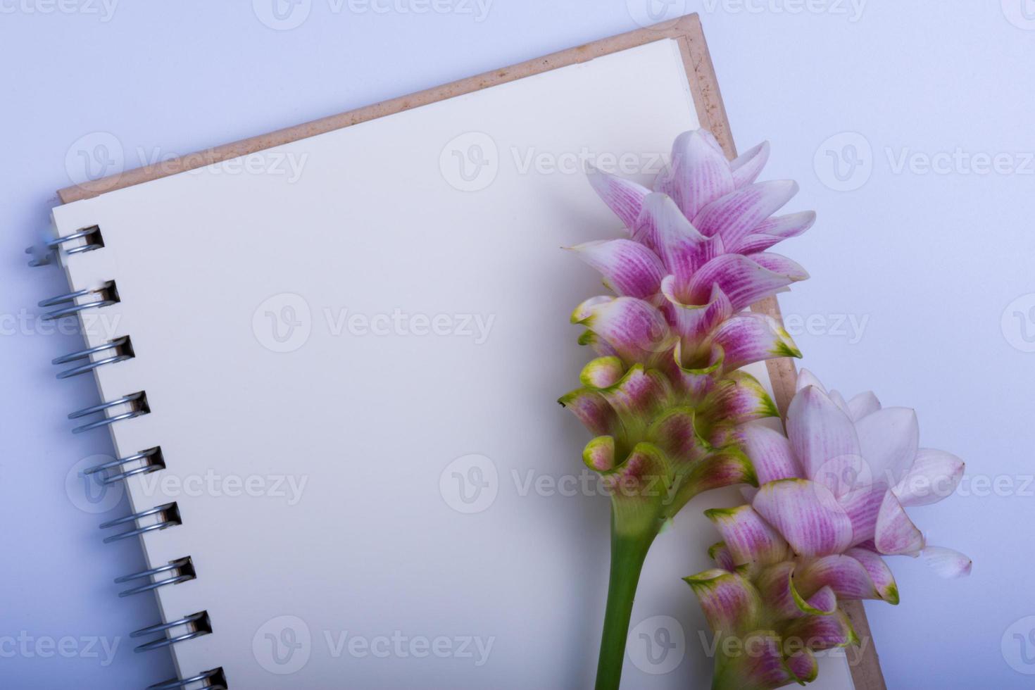 cuaderno y siam tulip sobre un fondo blanco foto