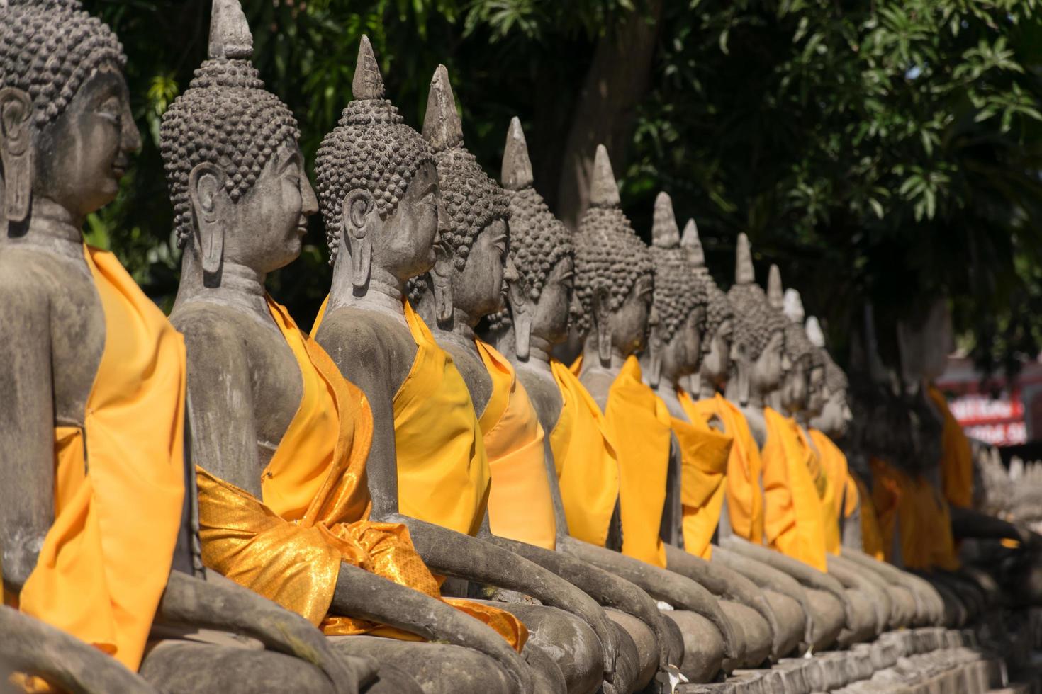 estatuas de buda en la provincia de phra nakhon si ayutthaya, tailandia. foto