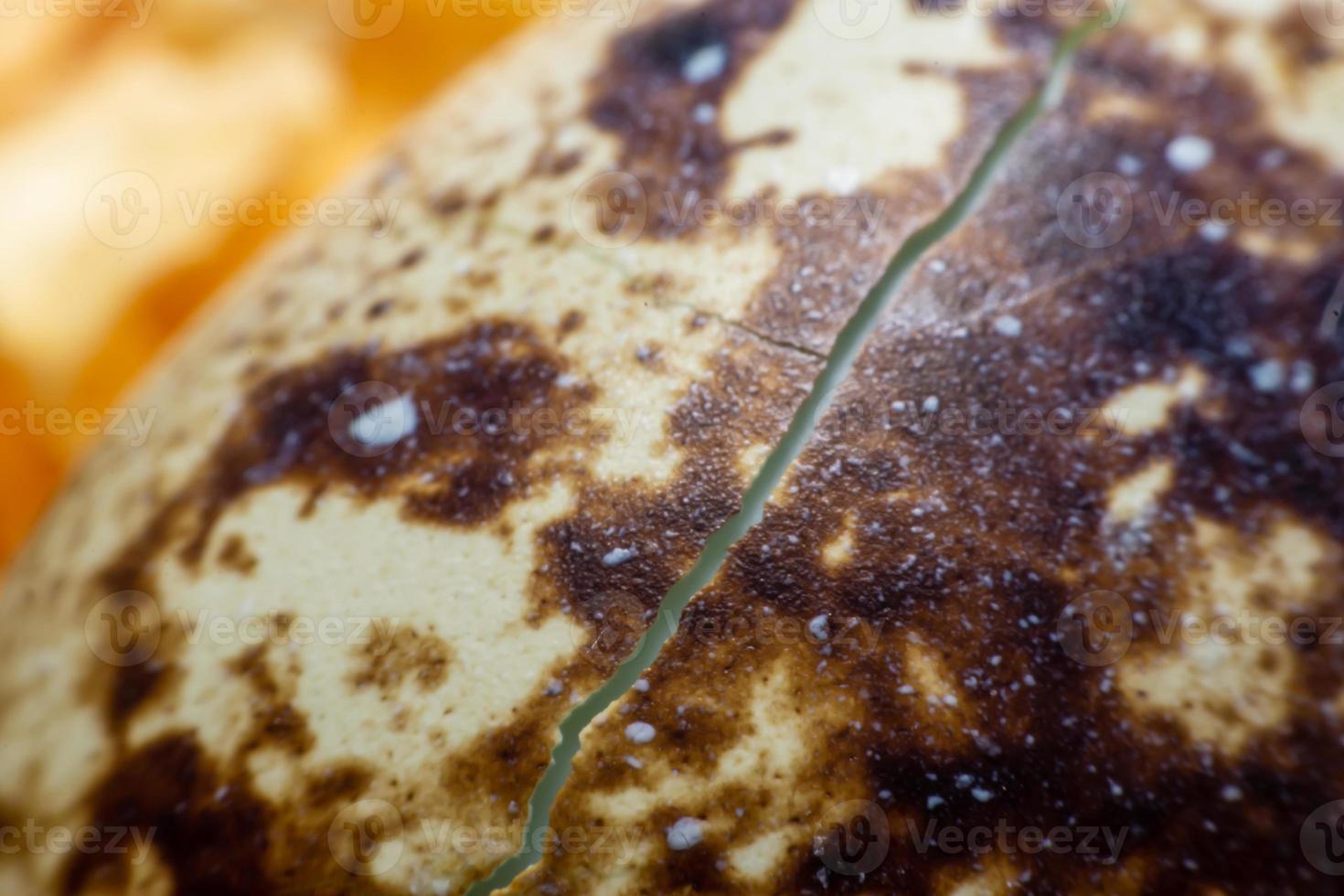 Close Up The egg of quail photo