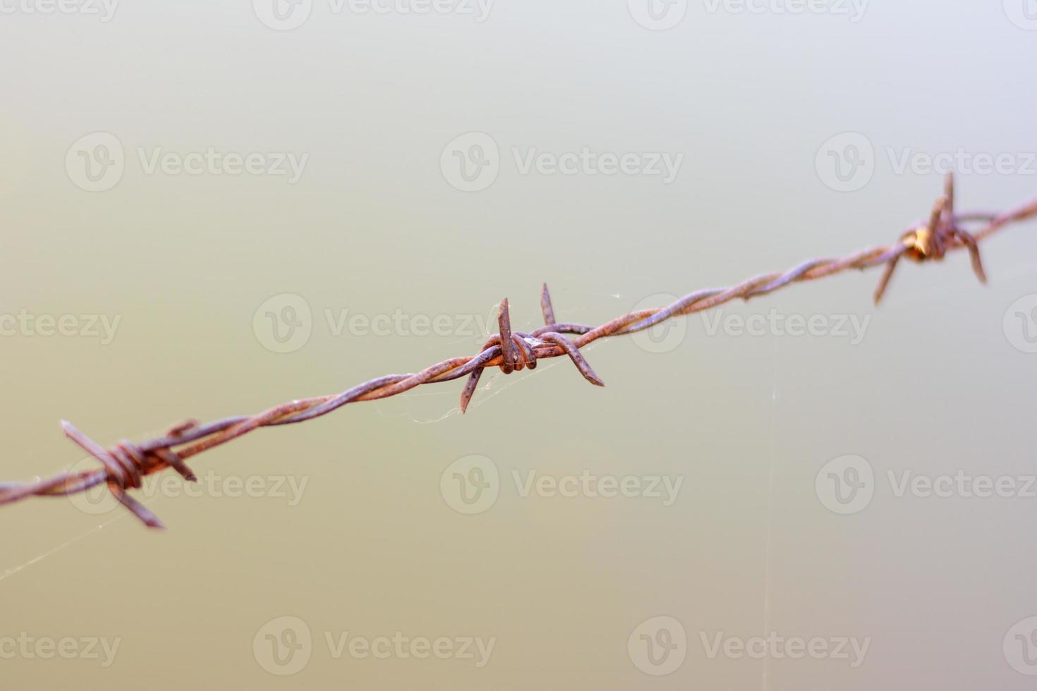 close up old barbed wire fence photo