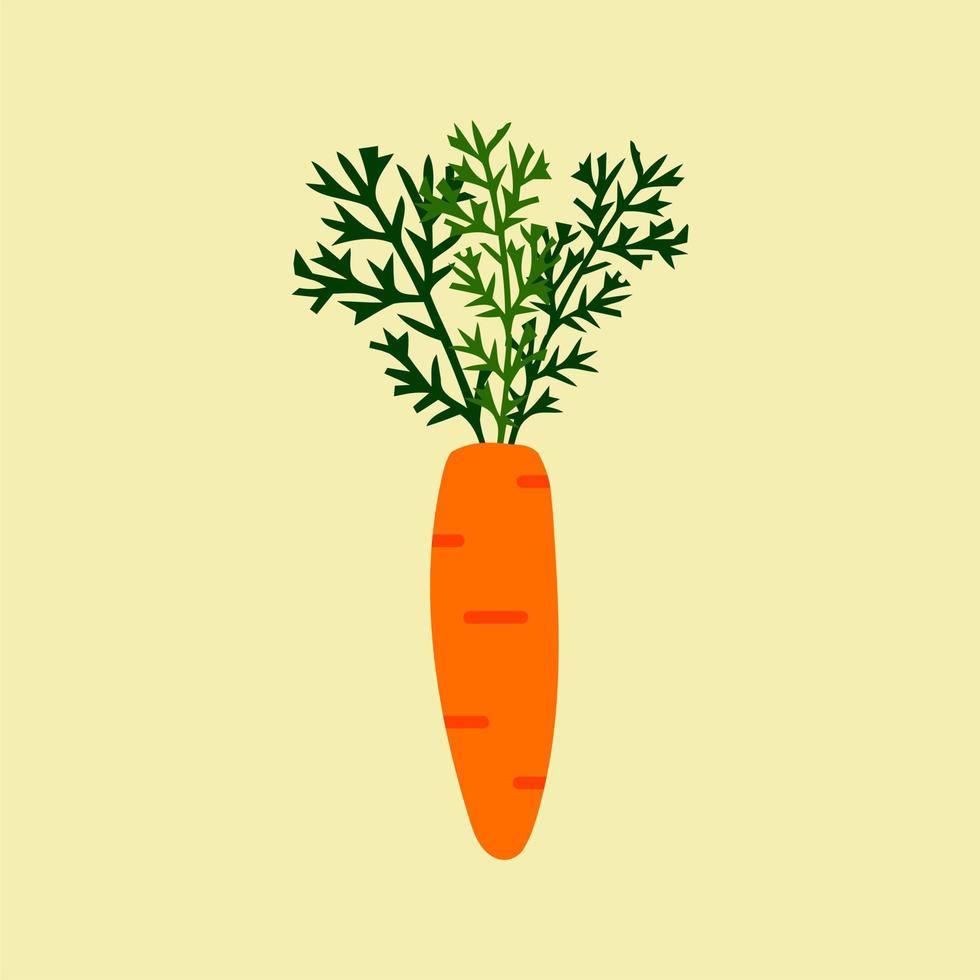 carrot flat design vector illustration