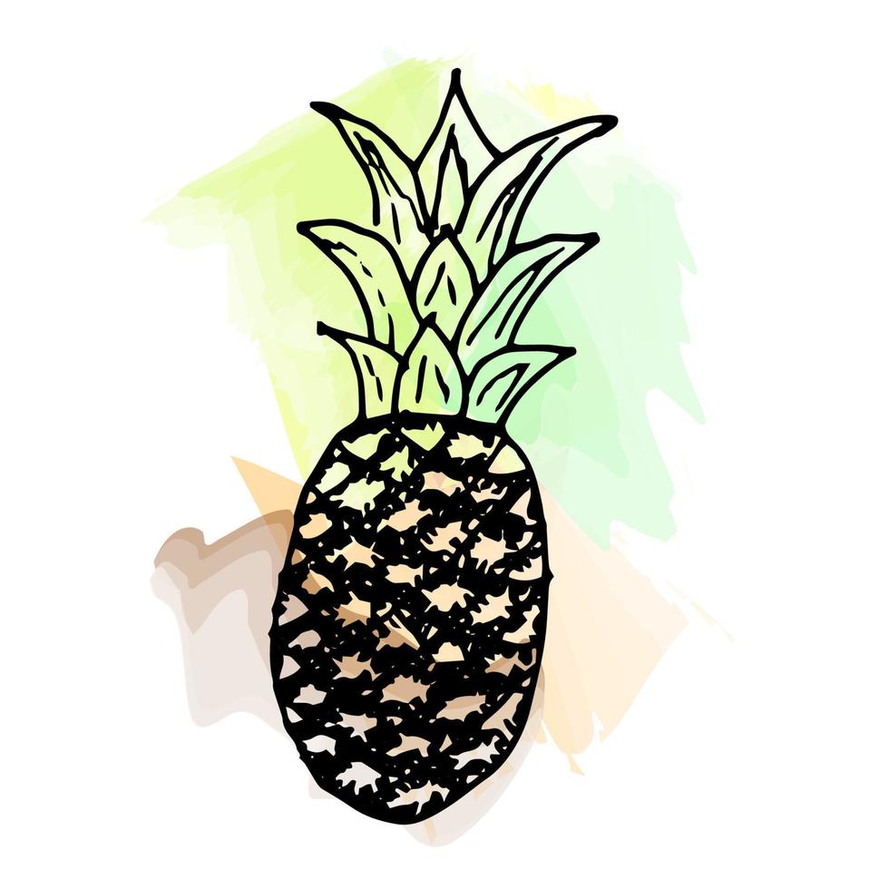 Imitation of watercolor paint. Bright and juicy pineapple illustration, on a white background. eps 10 vector