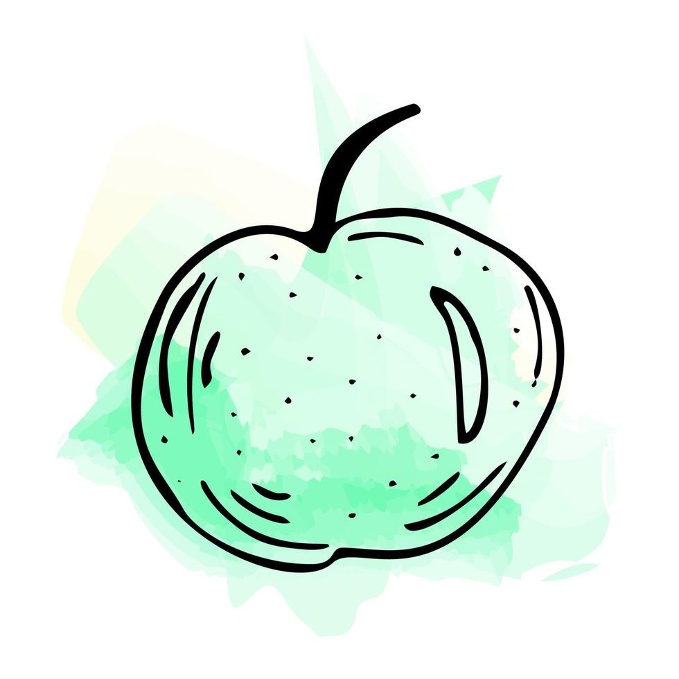 imitación de pintura de acuarela. ilustración brillante y jugosa de una manzana verde sobre un fondo blanco eps 10. vector