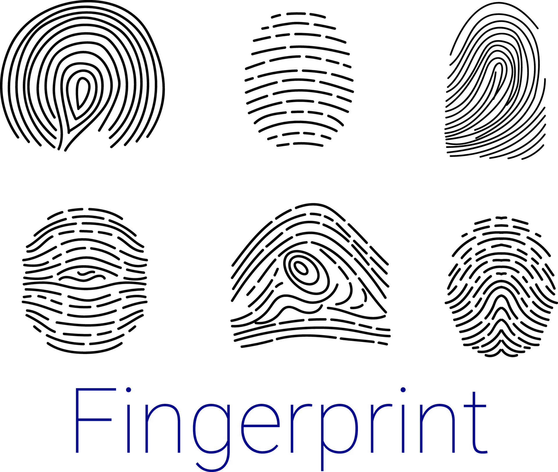 Set of various fingerprints loops, curls, patterns Vector illustration