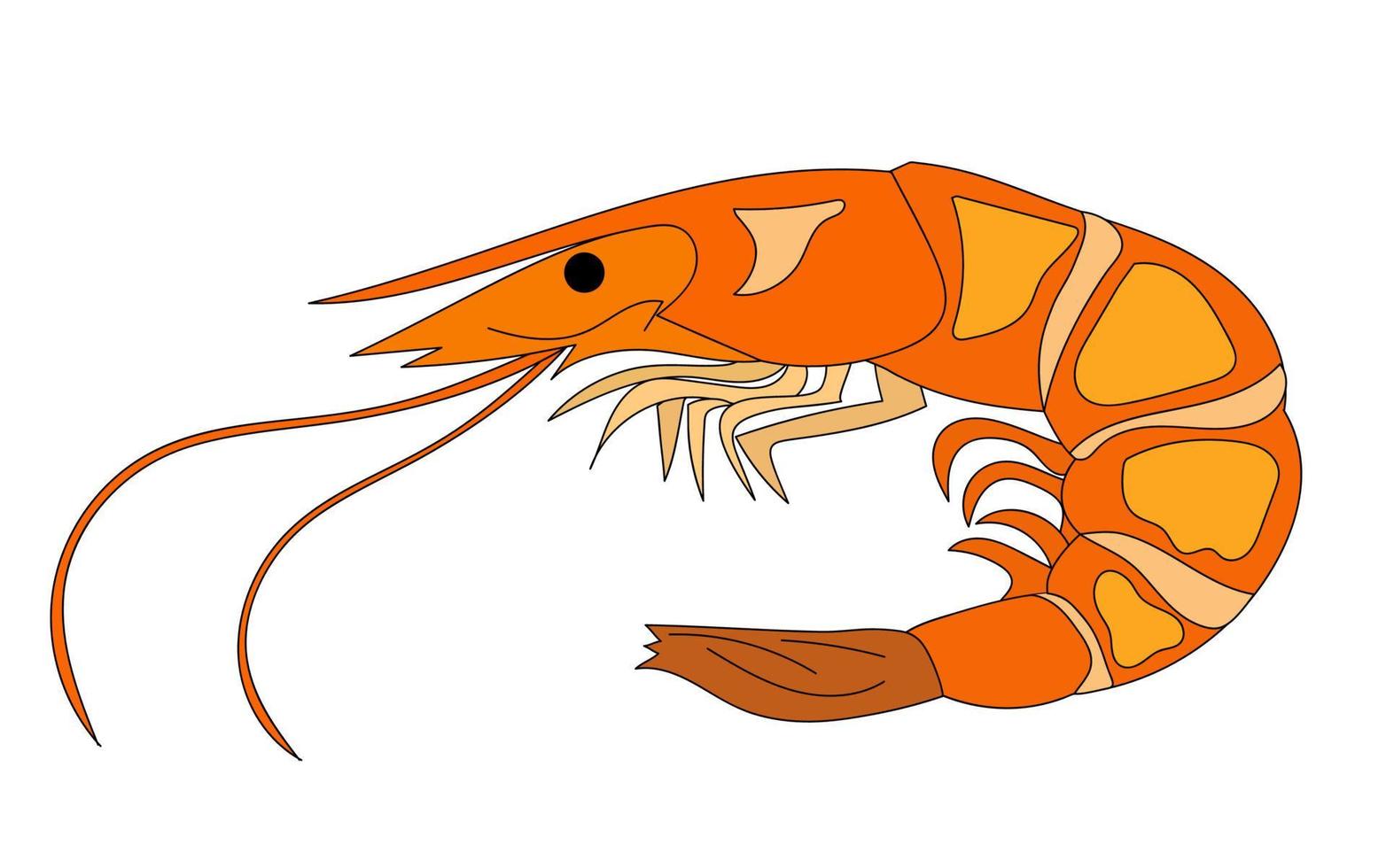 Appetizing and juicy shrimp isolated on the background. Tasty and healthy food. Japanese cuisine, illustration eps 10 vector
