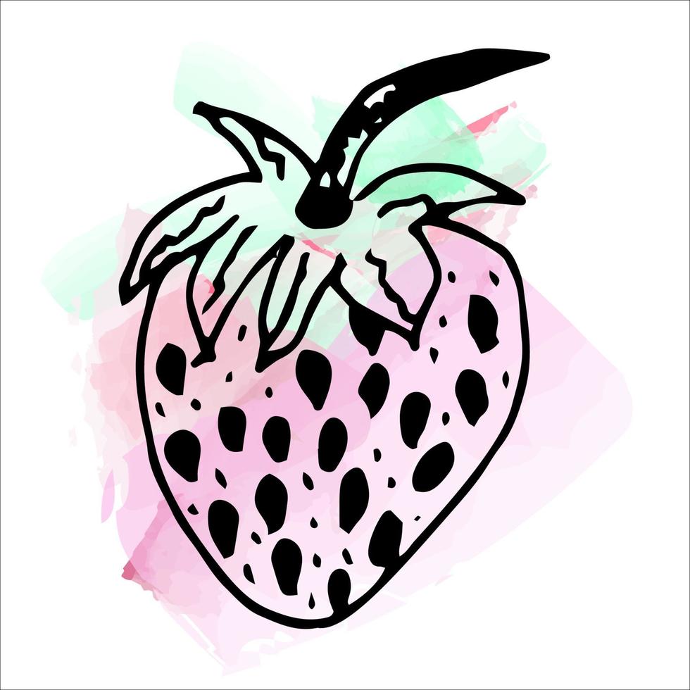 Imitation of watercolor paint. Bright and juicy illustration of strawberries on a white background. eps 10 vector