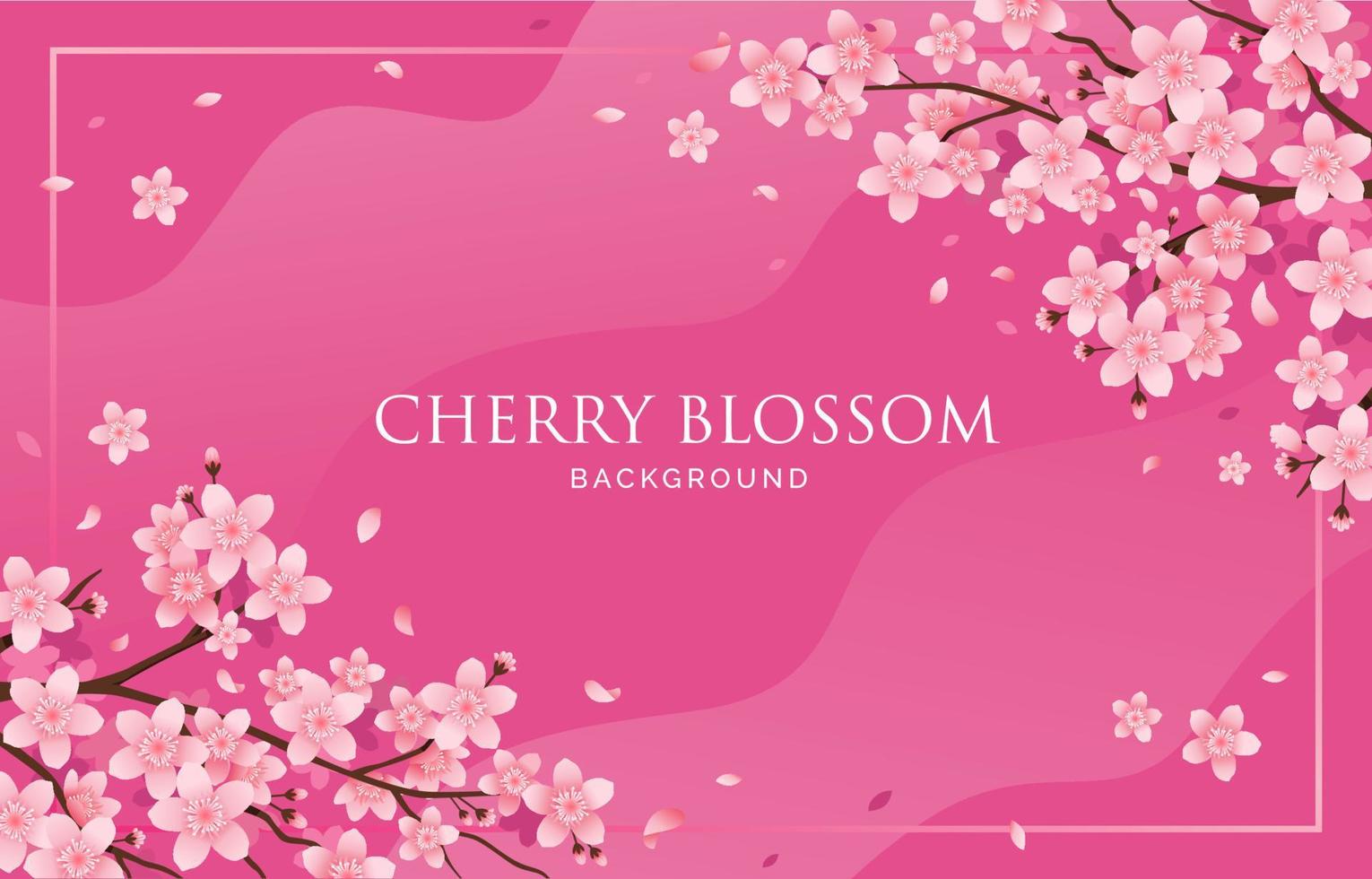 Cherry Blossom Background vector