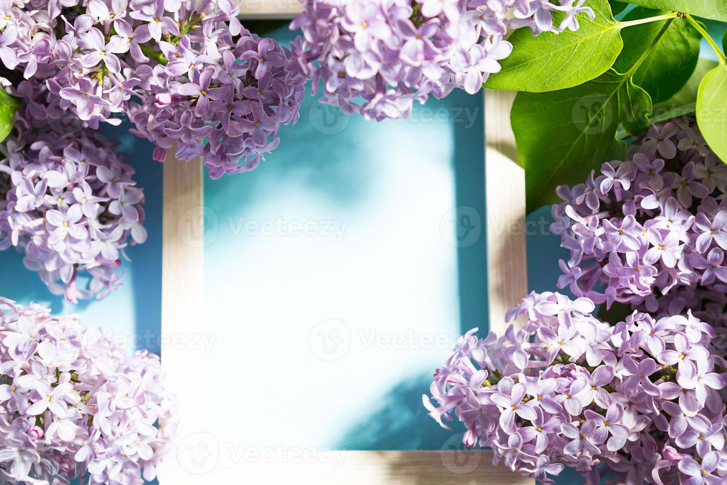 Purple lilac branches with shadows and highlights on blue spring background. Frame with copyspace with delicate fragrant flowers - beginning of summer. Holiday March 8, Easter, birthday, greeting card photo