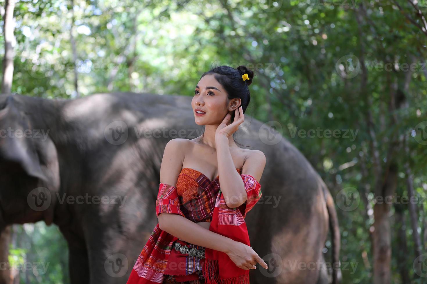 Elephant with beautiful girl in asian countryside, Thailand - Thai elephant and pretty woman with traditional dress in Surin region photo