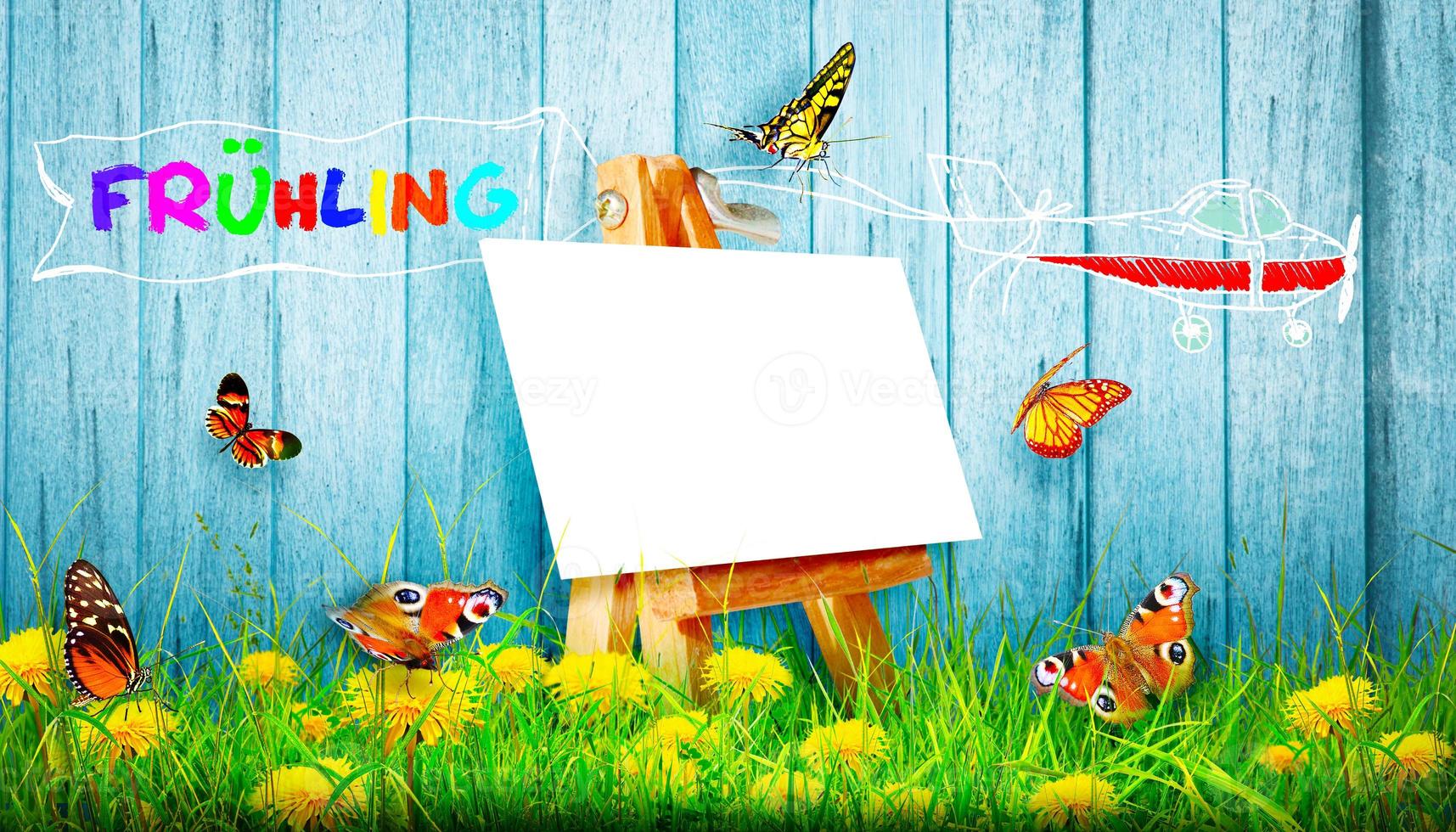 Flowers and herbs with word spring. Creative floral composition. photo